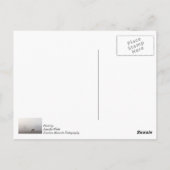 Foggy Grazing Briefkaart (Achterkant)