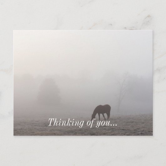 Foggy Grazing Briefkaart (Voorkant)