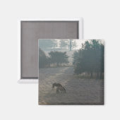 Foggy Grazing Magneet (Voorkant / Achterkant)
