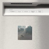 Foggy Grazing Magneet (Insitu (Vaatwasser))