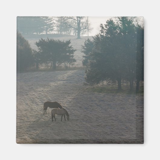 Foggy Grazing Magneet (Voorkant)
