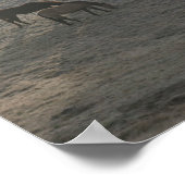 Foggy Grazing Poster (Hoek)