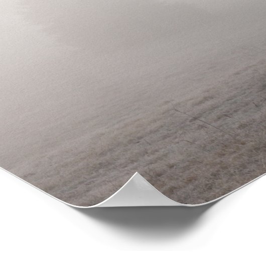 Foggy Grazing Poster (Hoek)