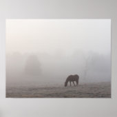 Foggy Grazing Poster (Voorkant)