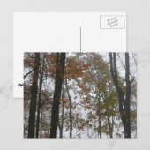 Foggy Herfst in Pennsylvania Autumn Natuur Briefkaart (Voorkant / Achterkant)