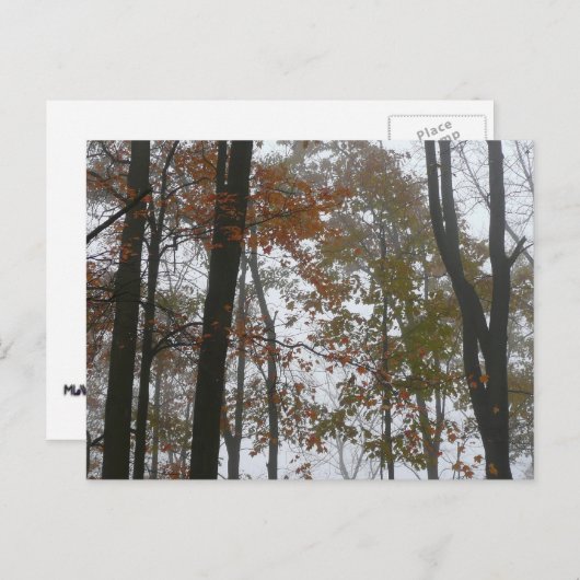 Foggy Herfst in Pennsylvania Autumn Natuur Briefkaart (Voorkant / Achterkant)