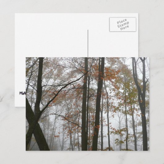 Foggy Herfst in Pennsylvania Autumn Natuur Briefkaart (Voorkant / Achterkant)