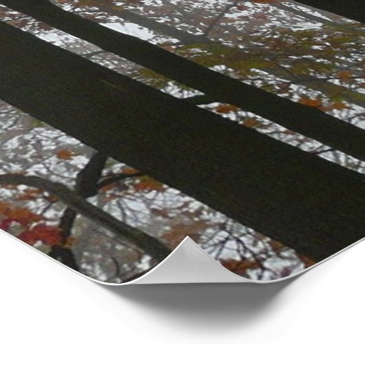 Foggy Herfst in Pennsylvania Autumn Natuur Poster (Hoek)