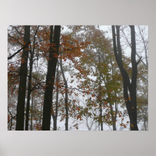 Foggy Herfst in Pennsylvania Autumn Natuur Poster