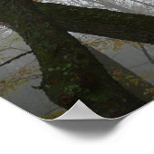 Foggy Herfst in Pennsylvania Autumn Natuur Poster (Hoek)