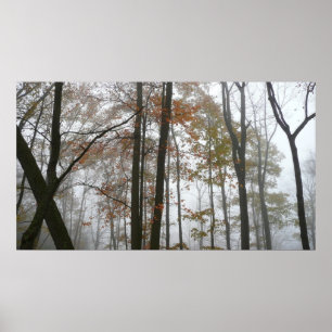 Foggy Herfst in Pennsylvania Autumn Natuur Poster