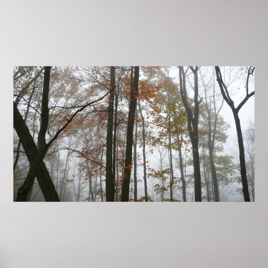 Foggy Herfst in Pennsylvania Autumn Natuur Poster (Voorkant)