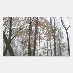 Foggy Herfst in Pennsylvania Autumn Natuur Rechthoekige Sticker