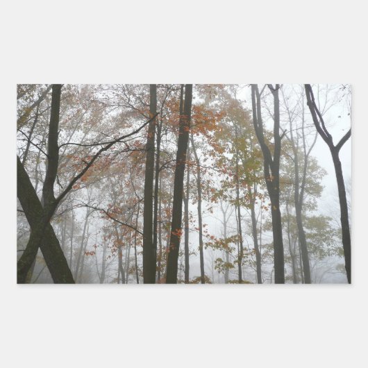 Foggy Herfst in Pennsylvania Autumn Natuur Rechthoekige Sticker (Voorkant)