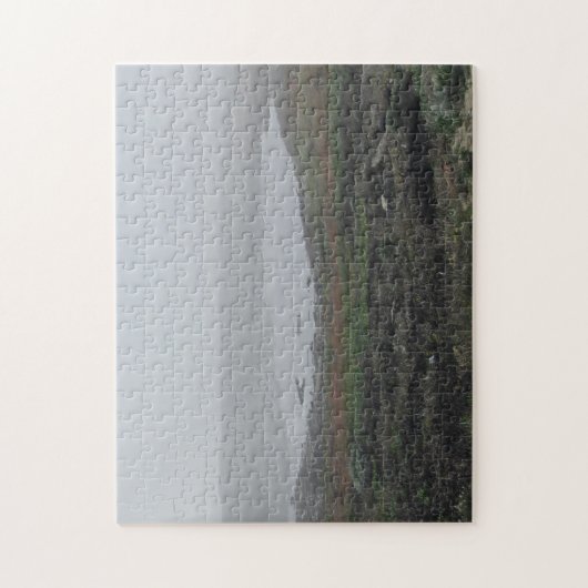 Foggy Landscape Inlet Pool California West Coast Legpuzzel (Verticaal)