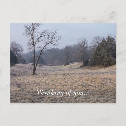 Foggy Meadow Briefkaart (Voorkant)