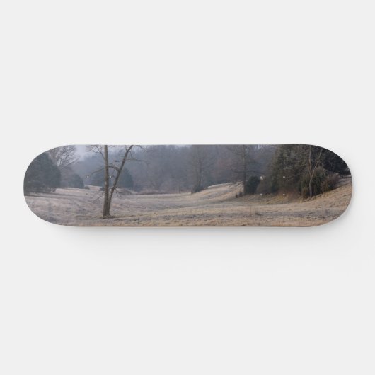 Foggy Meadow Skateboard (Horizontaal)