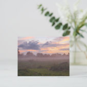 Foggy Michigan Sunset Briefkaart (Staand voorkant)