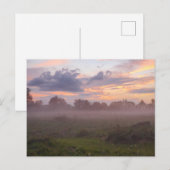 Foggy Michigan Sunset Briefkaart (Voorkant / Achterkant)
