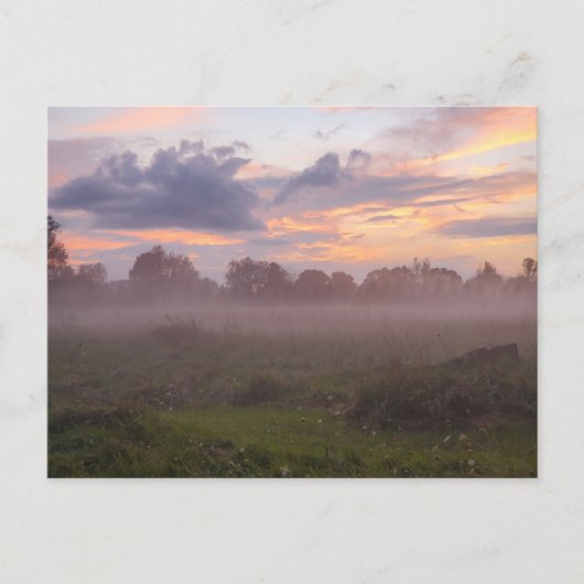 Foggy Michigan Sunset Briefkaart (Voorkant)