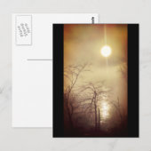 Foggy Morning Briefkaart (Voorkant / Achterkant)