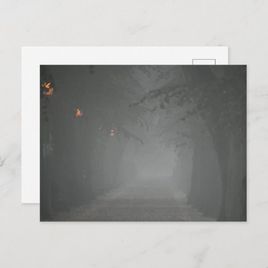 Foggy Morning Briefkaart (Voorkant / Achterkant)