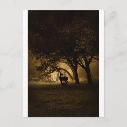 Foggy Morning Briefkaart (Voorkant)