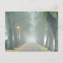 Foggy Morning Briefkaart