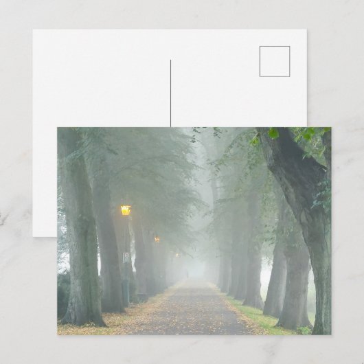 Foggy Morning Briefkaart (Voorkant / Achterkant)