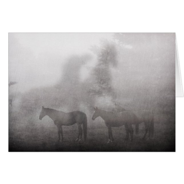 Foggy Morning Horse (Voorkant Horizontaal)