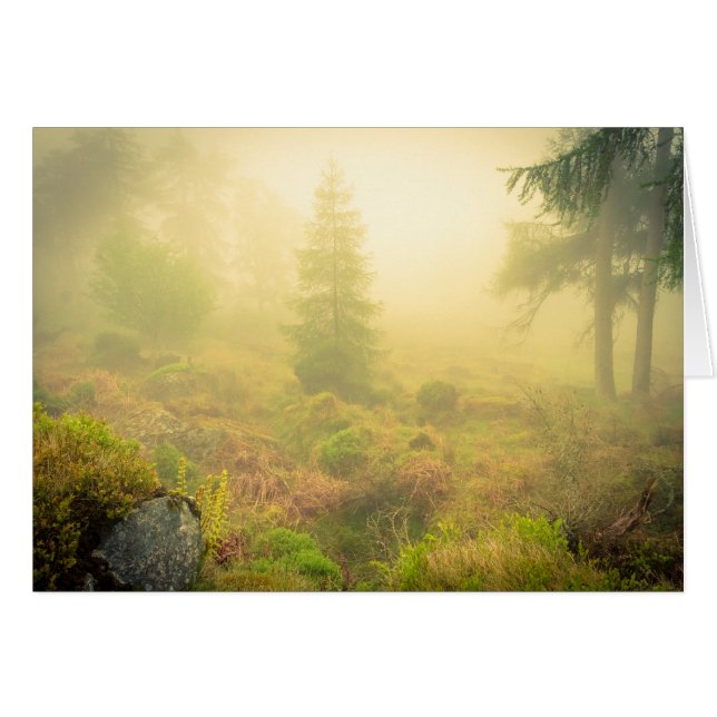 Foggy Morning in het Wicklow-gebergte (Voorkant Horizontaal)
