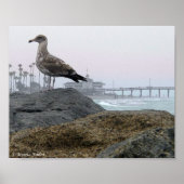 Foggy Morning in Newport Beach Print (Voorkant)