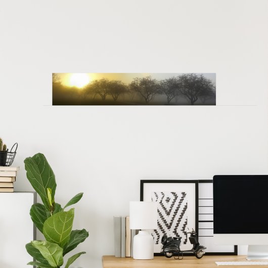 Foggy Morning Panoramic Poster (Thuiskantoor)