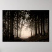 Foggy Morning Rushmere Country Park (0840) Poster (Voorkant)