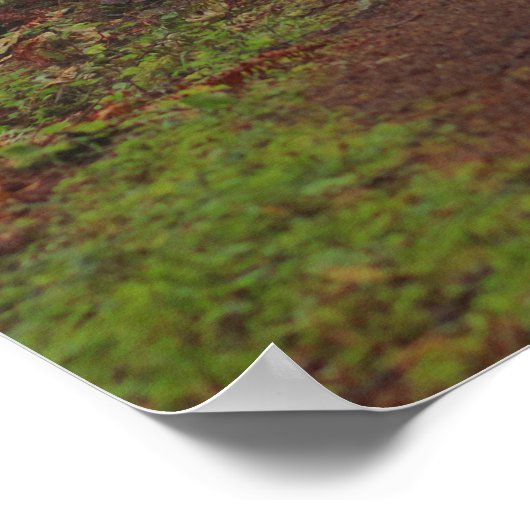 Foggy morning, (Semi-Gloss) Poster (Hoek)