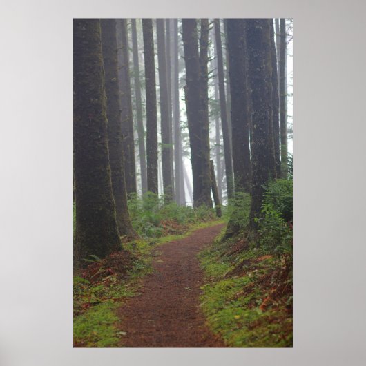 Foggy morning, (Semi-Gloss) Poster (Voorkant)