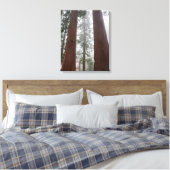 Foggy Morning & Spring Snow under Giant Sequoia Canvas Afdruk (Insitu (Slaapkamer))