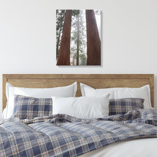 Foggy Morning & Spring Snow under Giant Sequoia Canvas Afdruk (Insitu (Slaapkamer))