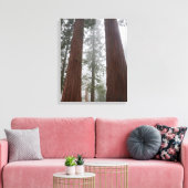 Foggy Morning & Spring Snow under Giant Sequoia Canvas Afdruk (Insitu (Woonkamer))