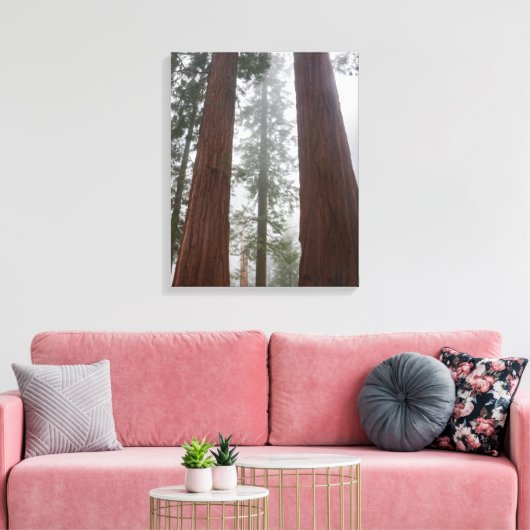 Foggy Morning & Spring Snow under Giant Sequoia Canvas Afdruk (Insitu (Woonkamer))