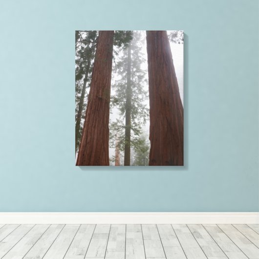 Foggy Morning & Spring Snow under Giant Sequoia Canvas Afdruk (Insitu (Houten vloer))