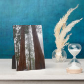 Foggy Morning & Spring Snow under Giant Sequoia Fotoplaat (Zijkant)