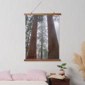 Foggy Morning & Spring Snow under Giant Sequoia Hangend Wandkleed (Slaapkamer)