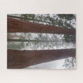 Foggy Morning & Spring Snow under Giant Sequoia Legpuzzel (Horizontaal)