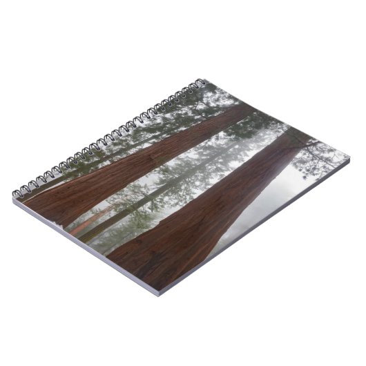 Foggy Morning & Spring Snow under Giant Sequoia Notitieboek (Linkerzijde)