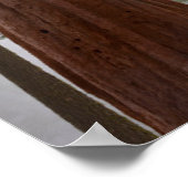 Foggy Morning & Spring Snow under Giant Sequoia Poster (Hoek)