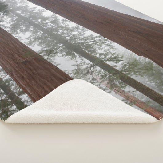 Foggy Morning & Spring Snow under Giant Sequoia Sherpa Deken (3/4)