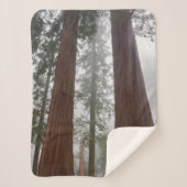 Foggy Morning & Spring Snow under Giant Sequoia Sherpa Deken (Voorkant)
