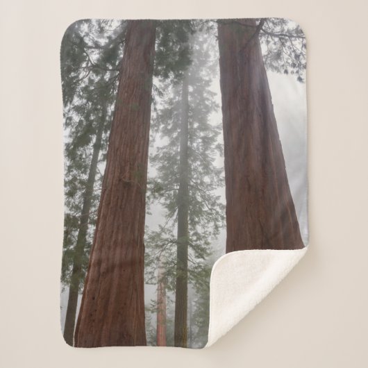 Foggy Morning & Spring Snow under Giant Sequoia Sherpa Deken (Voorkant)