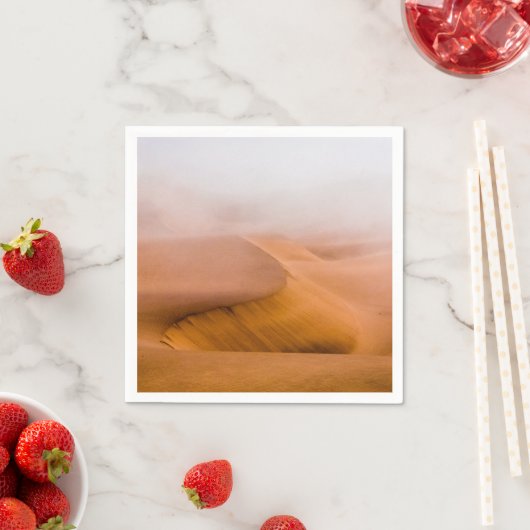 Foggy Namib Desert Servet (Insitu)